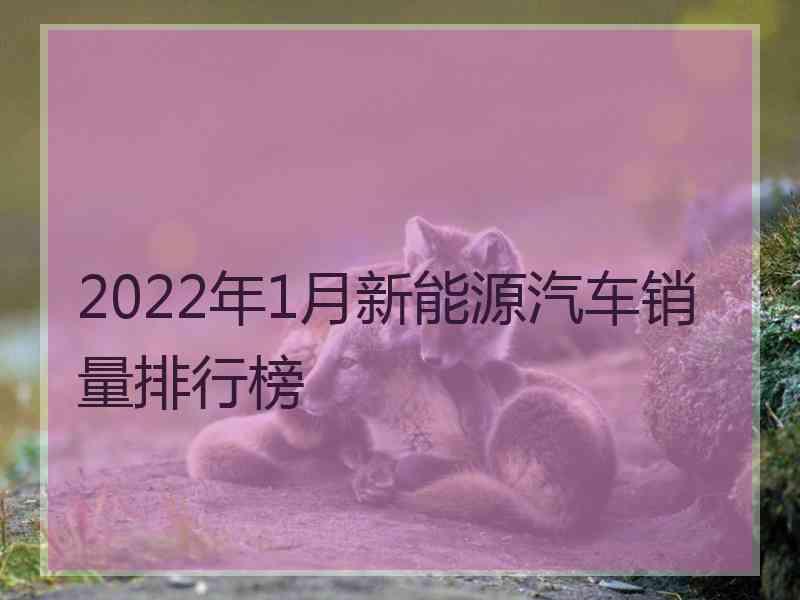 2022年1月新能源汽车销量排行榜