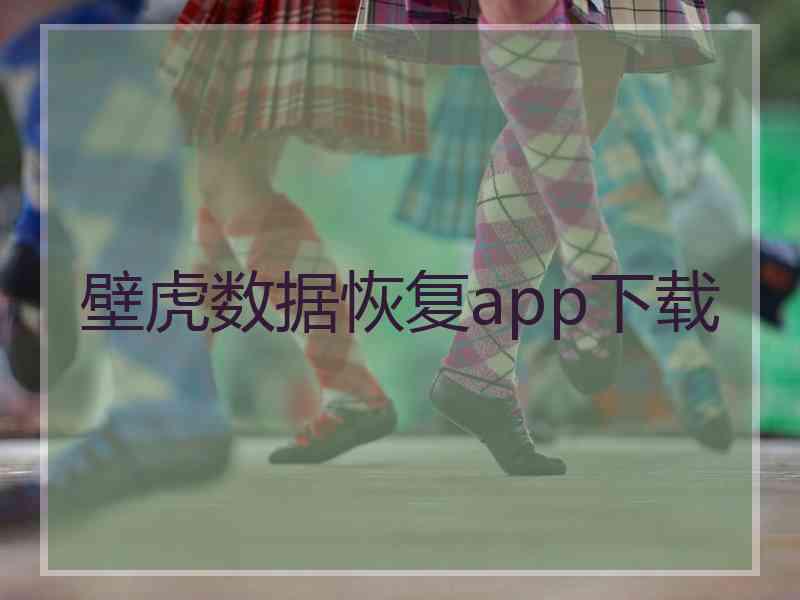 壁虎数据恢复app下载