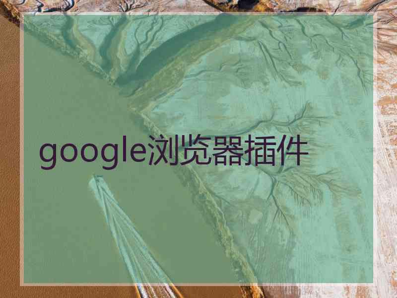 google浏览器插件