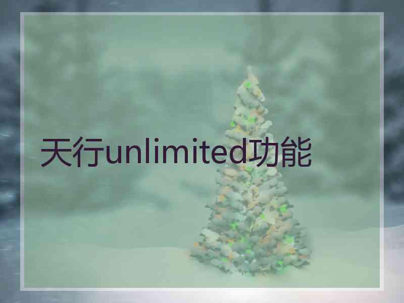 天行unlimited功能