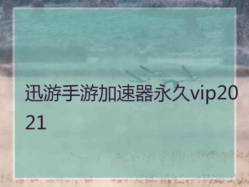 迅游手游加速器永久vip2021