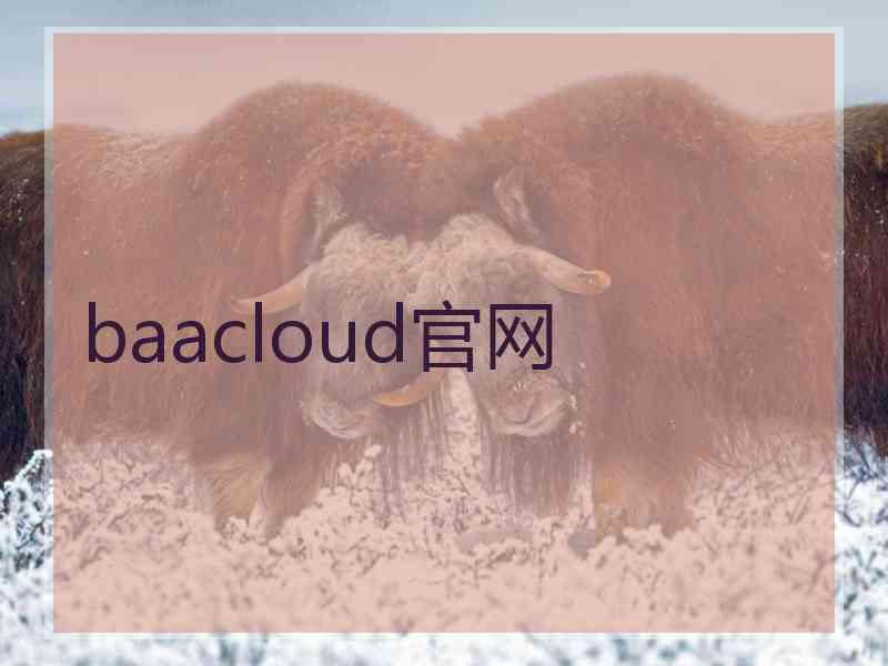 baacloud官网