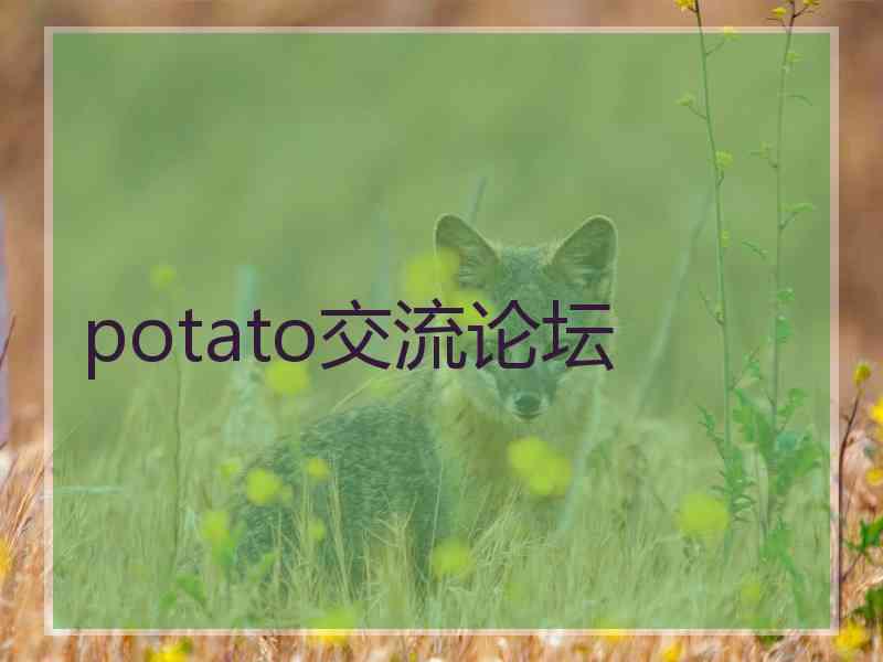 potato交流论坛