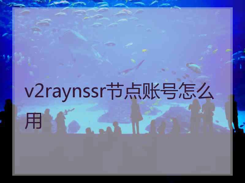 v2raynssr节点账号怎么用