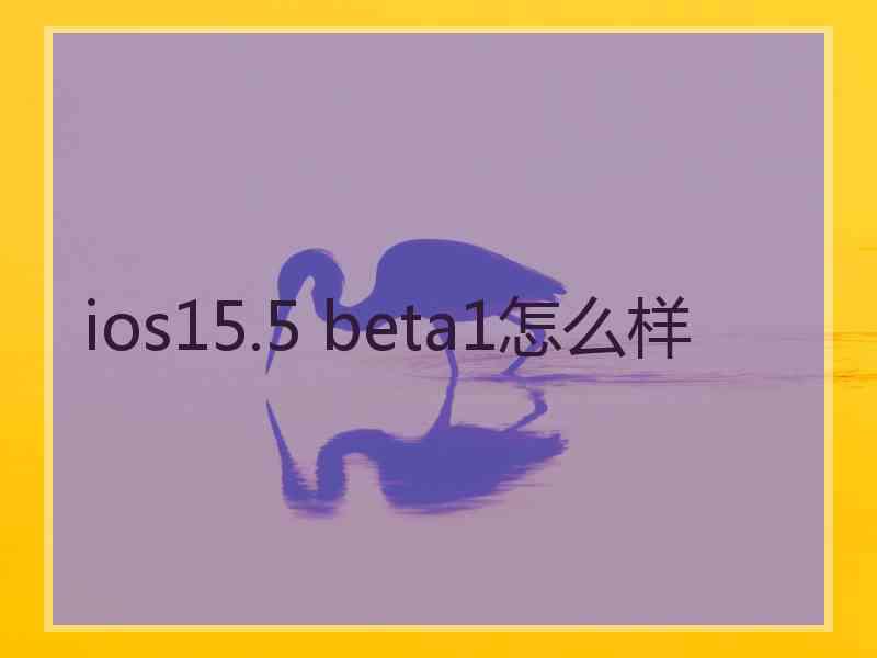 ios15.5 beta1怎么样