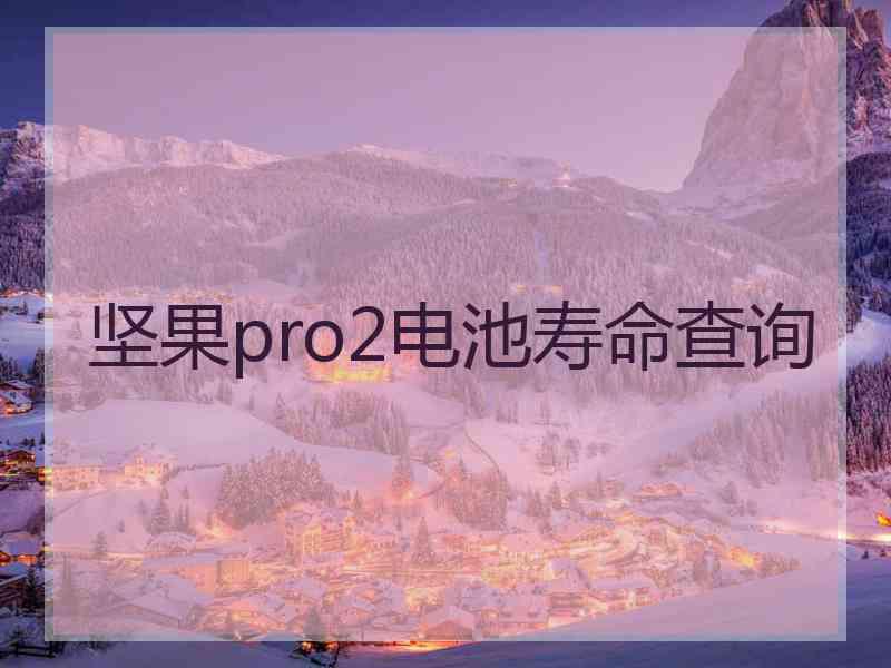 坚果pro2电池寿命查询