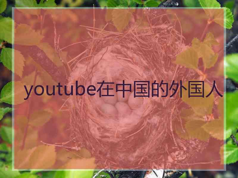 youtube在中国的外国人