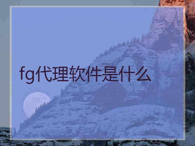 fg代理软件是什么