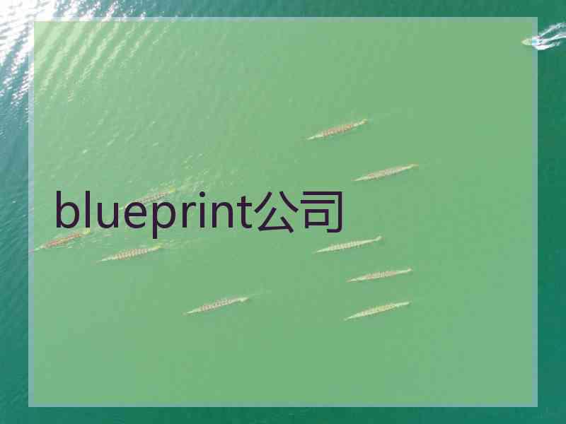 blueprint公司