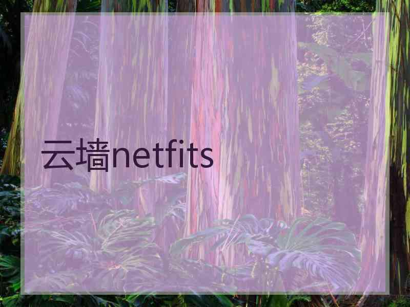 云墙netfits