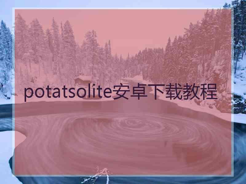 potatsolite安卓下载教程