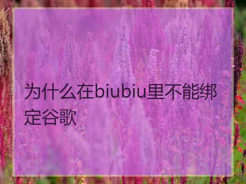 为什么在biubiu里不能绑定谷歌