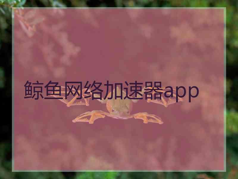 鲸鱼网络加速器app