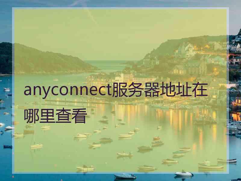 anyconnect服务器地址在哪里查看