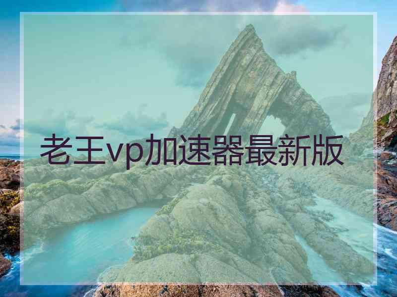 老王vp加速器最新版