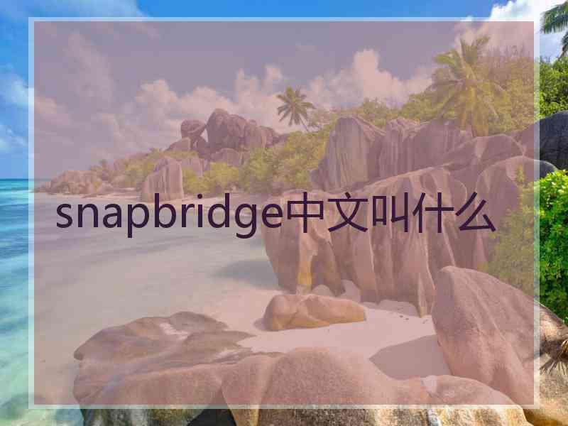 snapbridge中文叫什么