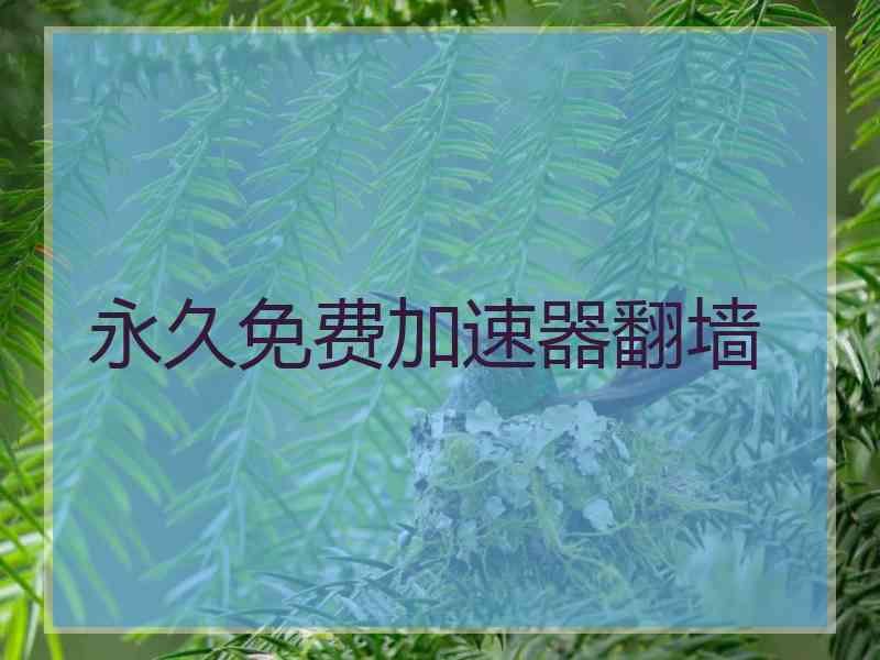 永久免费加速器翻墙