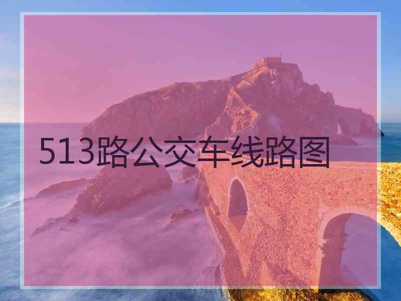 513路公交车线路图