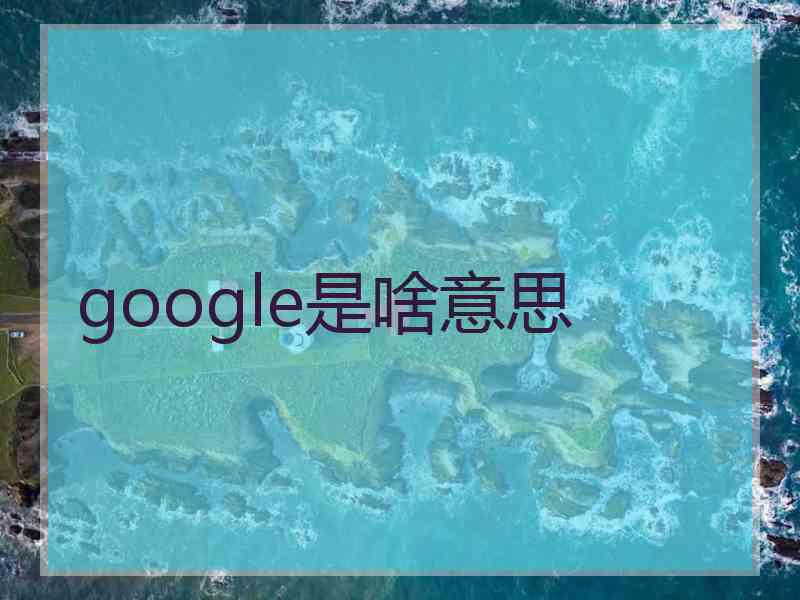 google是啥意思