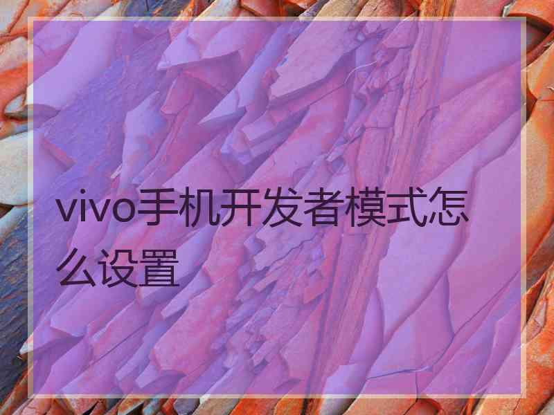 vivo手机开发者模式怎么设置