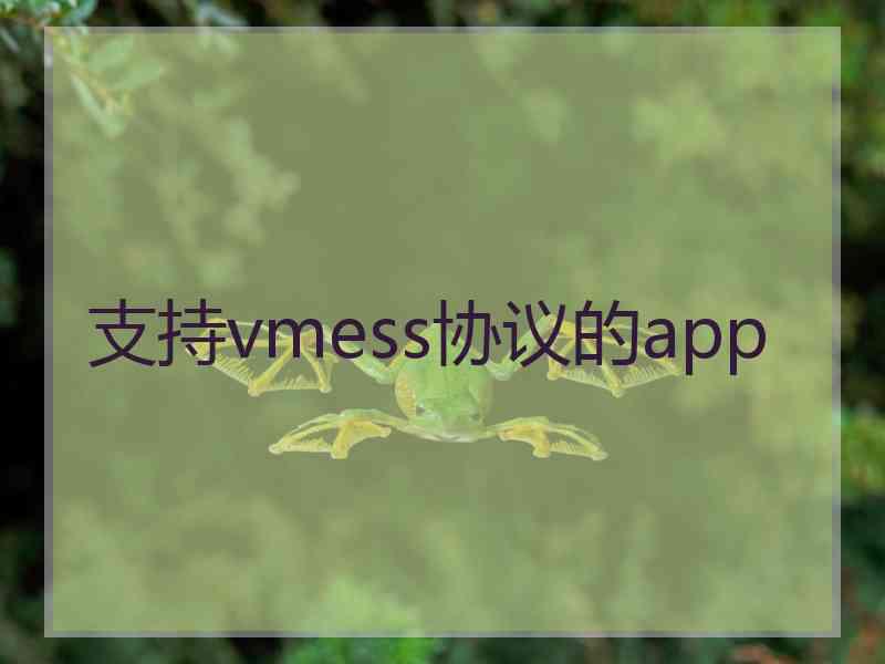 支持vmess协议的app