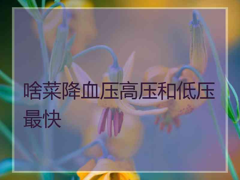 啥菜降血压高压和低压最快