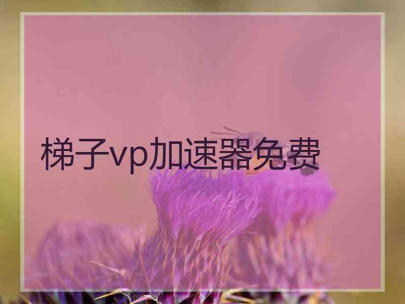 梯子vp加速器免费