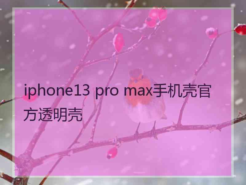 iphone13 pro max手机壳官方透明壳