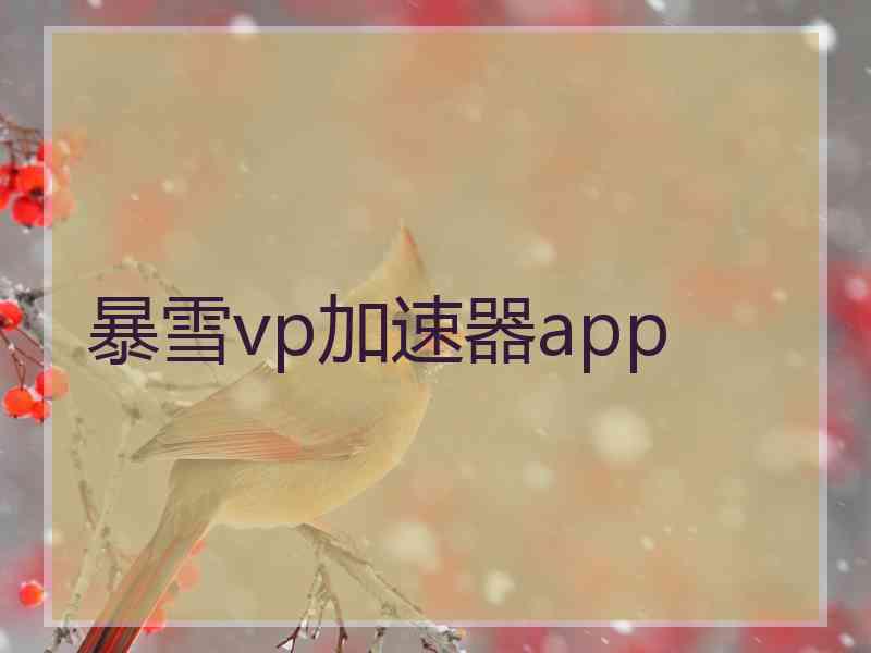 暴雪vp加速器app