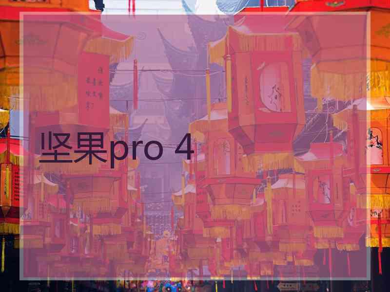 坚果pro 4