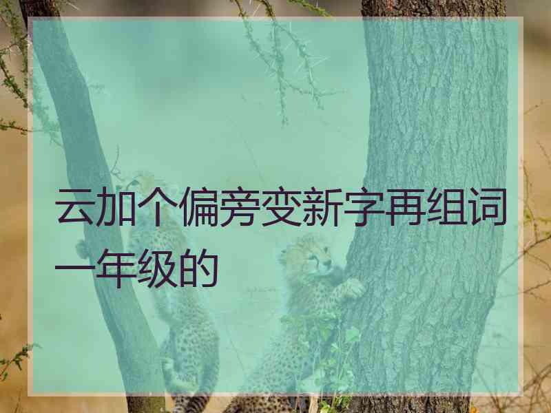 云加个偏旁变新字再组词一年级的