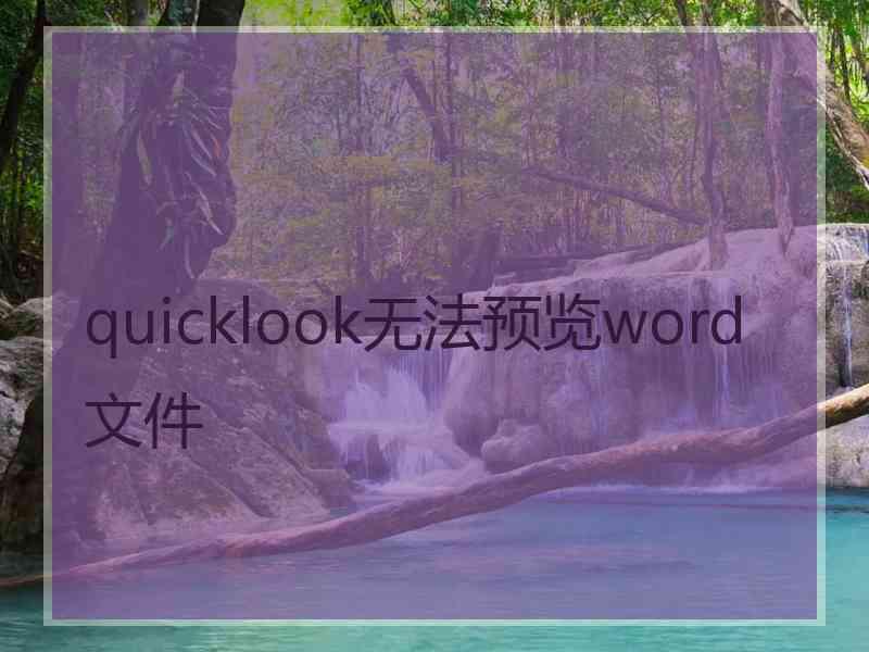 quicklook无法预览word文件