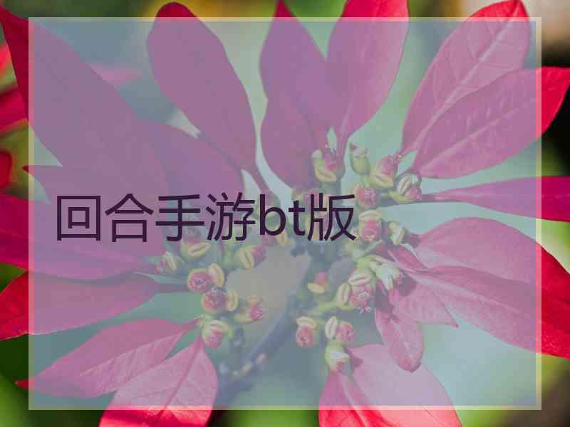 回合手游bt版