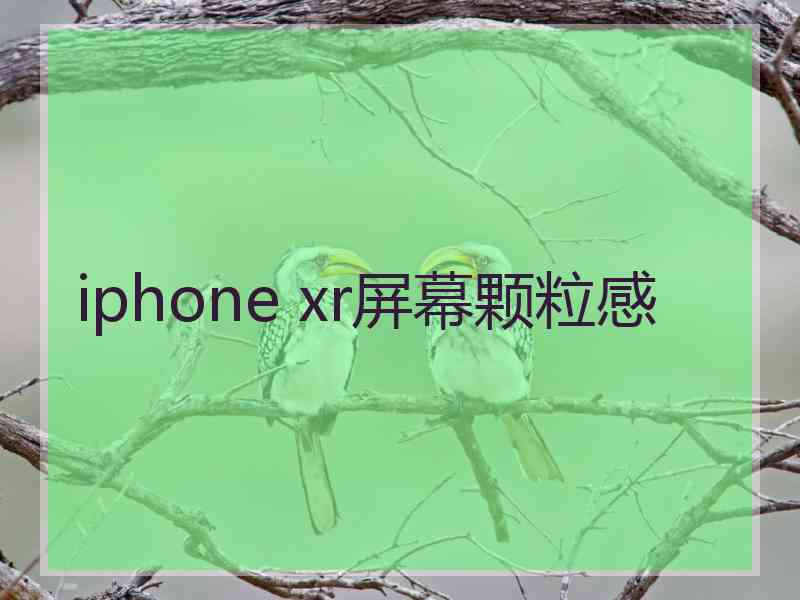 iphone xr屏幕颗粒感