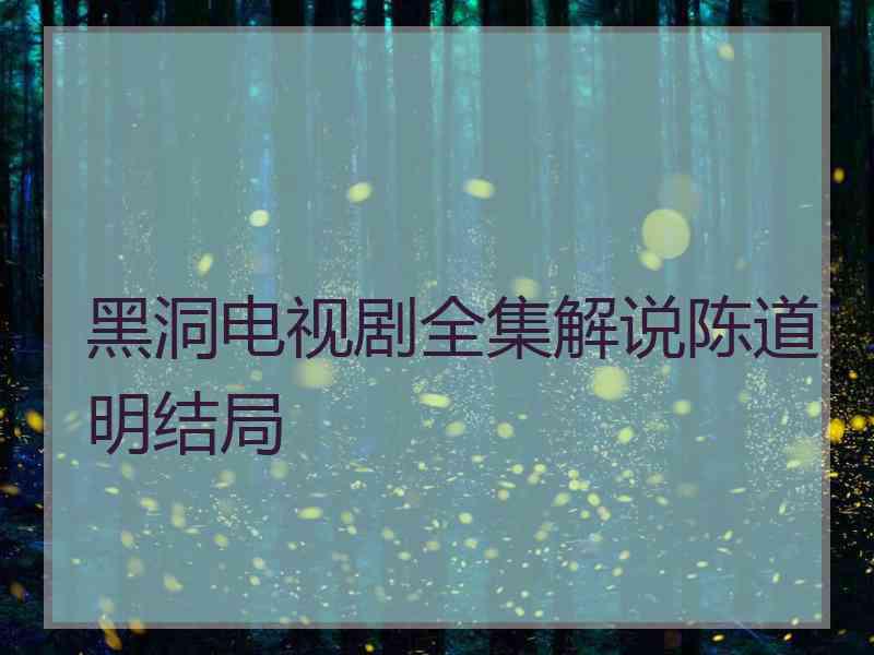 黑洞电视剧全集解说陈道明结局