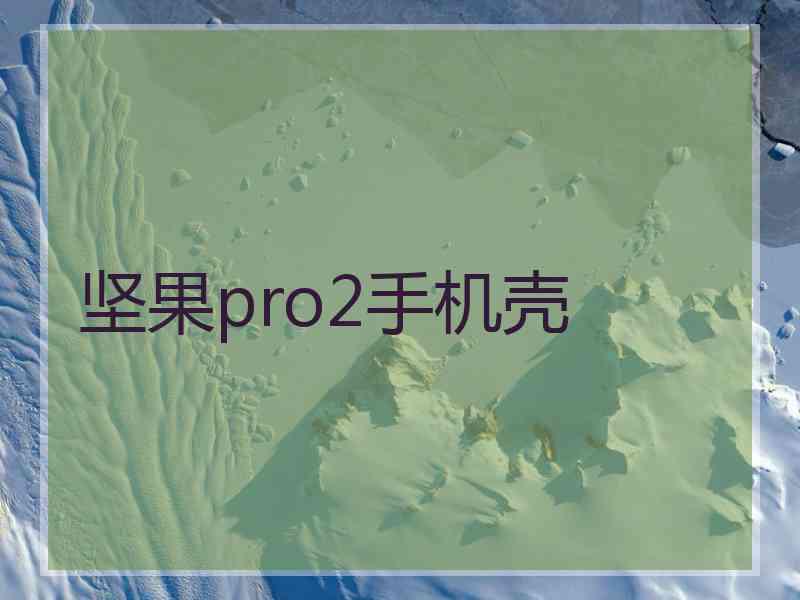 坚果pro2手机壳