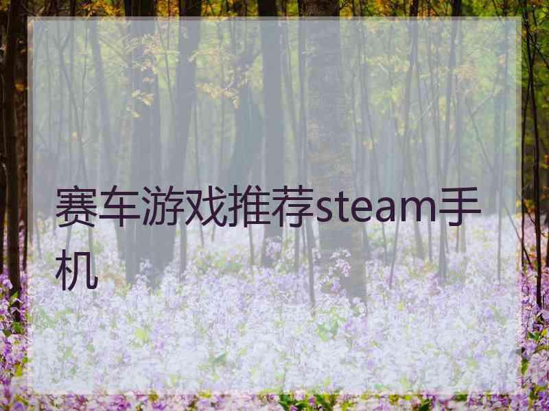 赛车游戏推荐steam手机