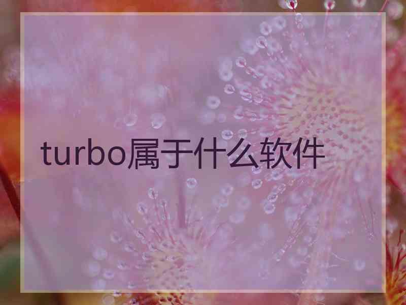 turbo属于什么软件