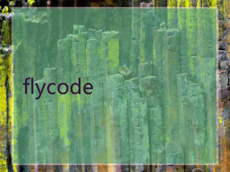 flycode