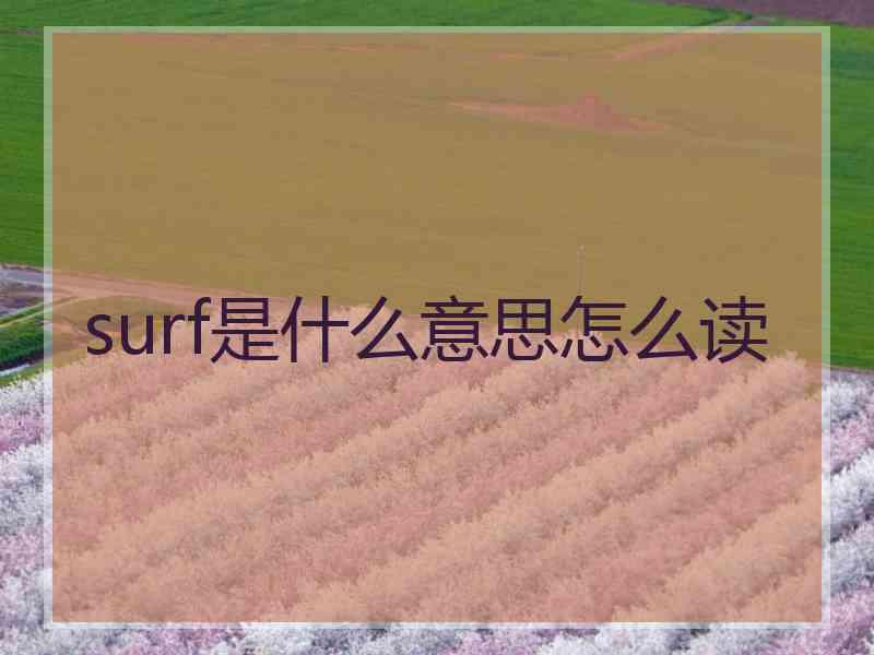 surf是什么意思怎么读