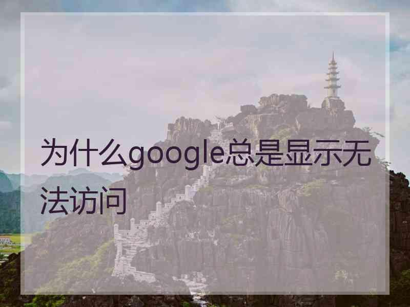 为什么google总是显示无法访问