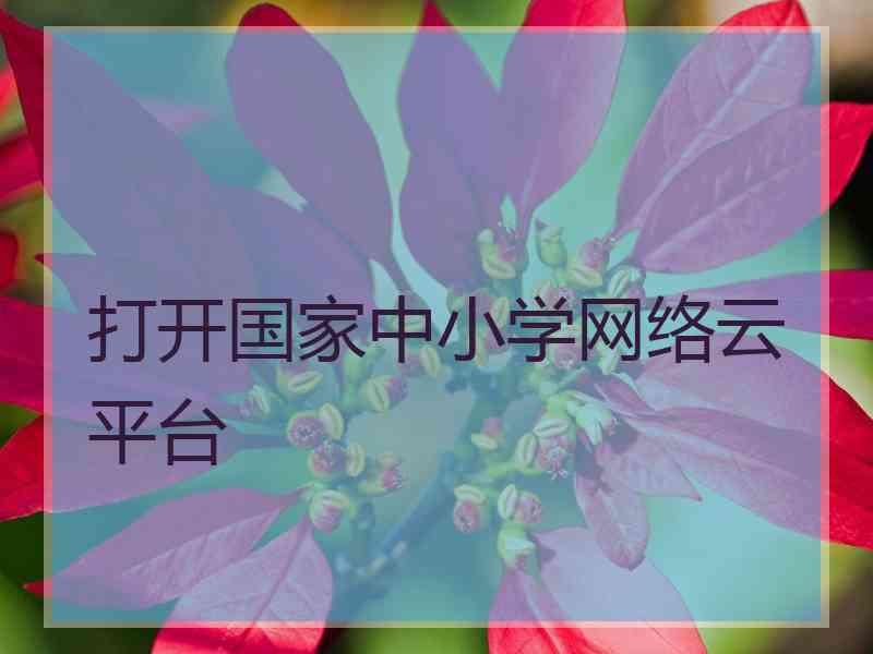 打开国家中小学网络云平台