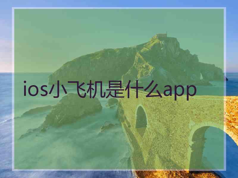 ios小飞机是什么app