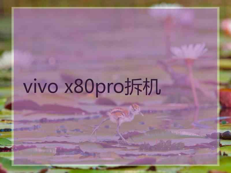 vivo x80pro拆机