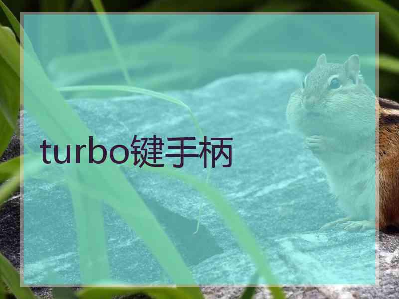 turbo键手柄