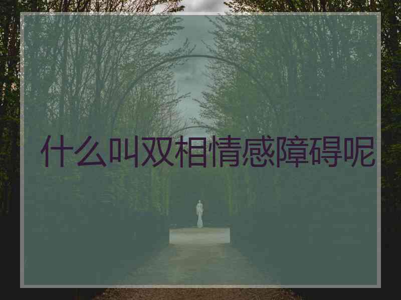 什么叫双相情感障碍呢