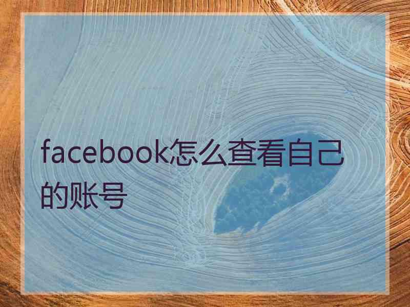 facebook怎么查看自己的账号