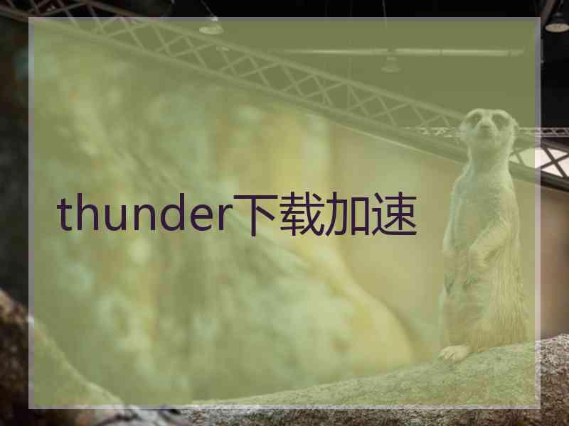 thunder下载加速