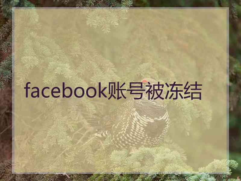 facebook账号被冻结