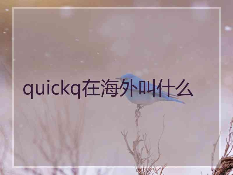 quickq在海外叫什么